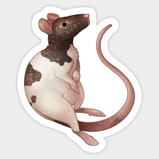 Cozy Fancy Rat Sticker